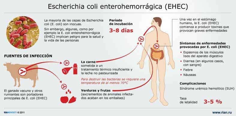 infeccion por escherichia-coli