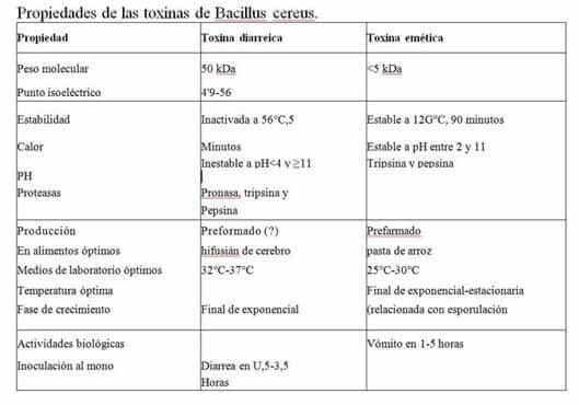 cuadro clinico por bacillus cereus