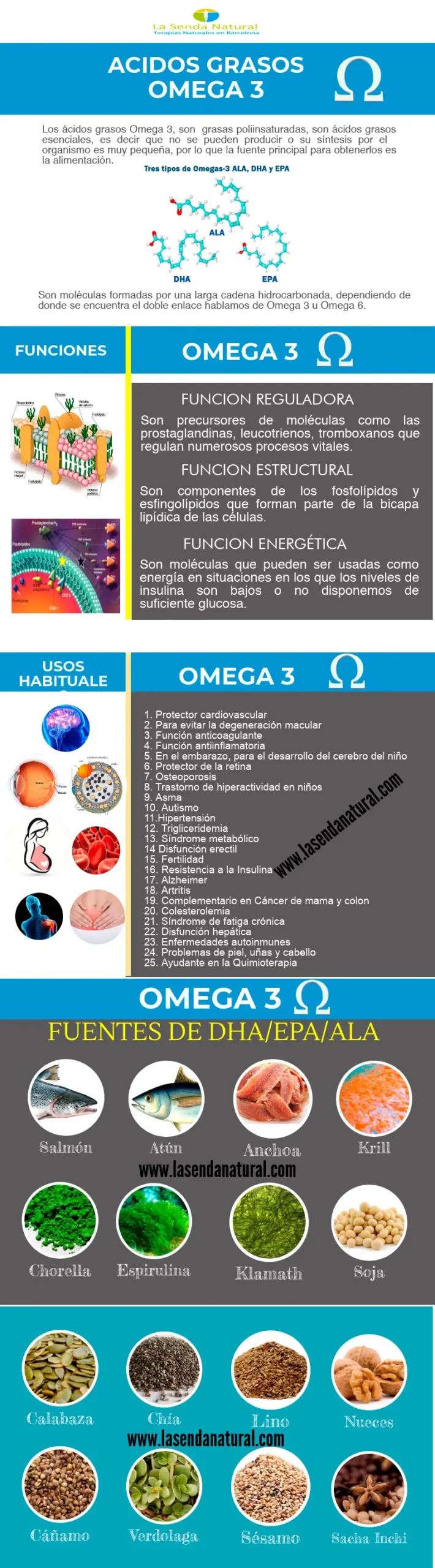 Fuentes de Omega 3