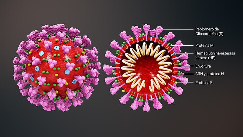 CORONAVIRUS-covid 19