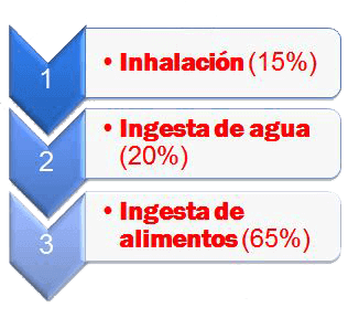 presencia del plomo en los alimentos