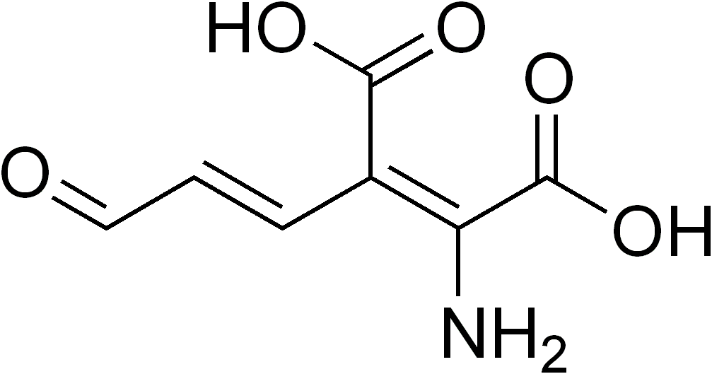 L-glutamina