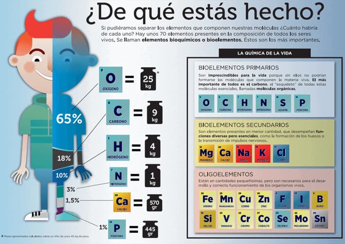 Los bioelementos