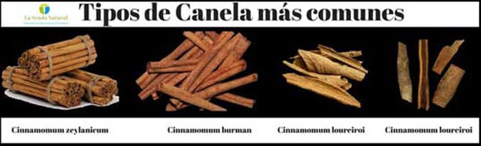 Tipos-de-Canela-mas-comunes