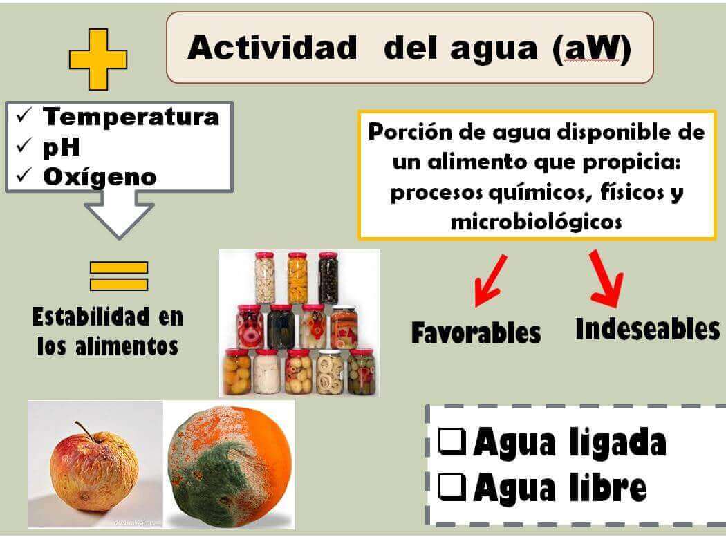 actividad del agua