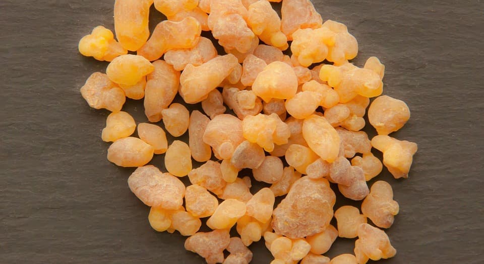 boswellia serrata