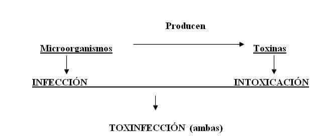 alimentos-contaminados