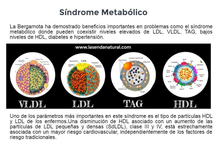 bergamota y sindrome metabolico