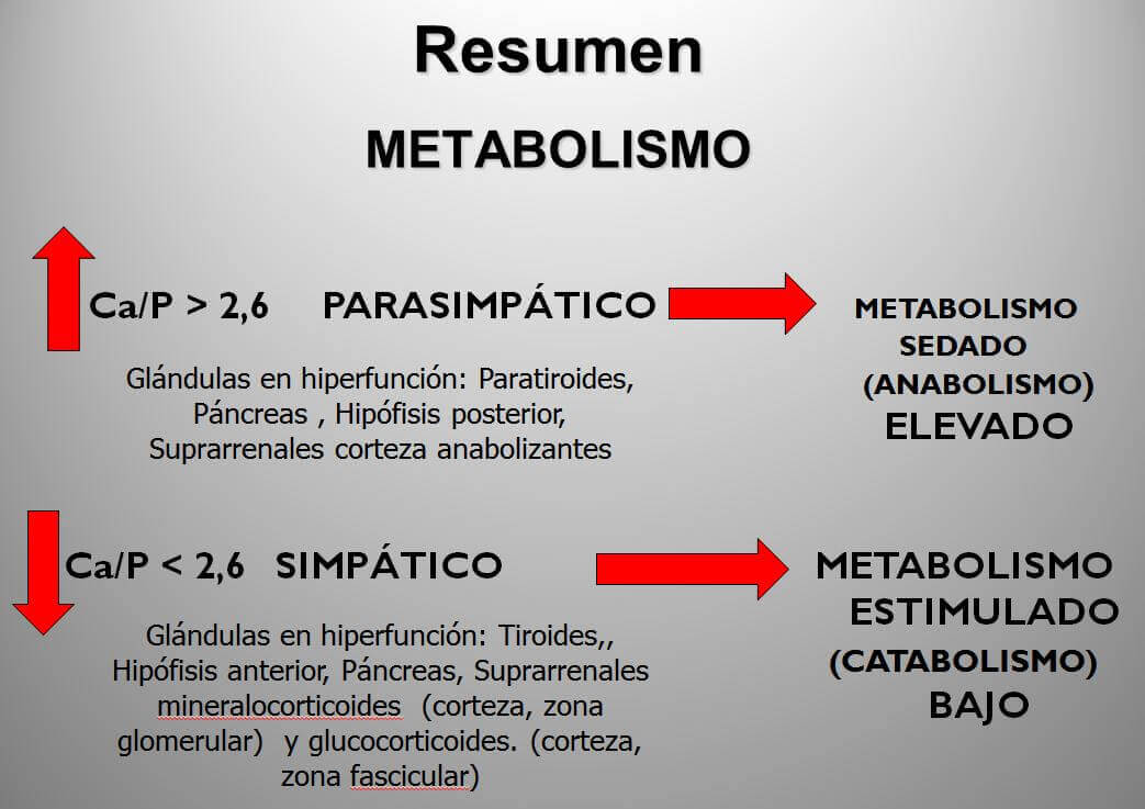 cabello-y-metabolismo