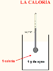 caloria