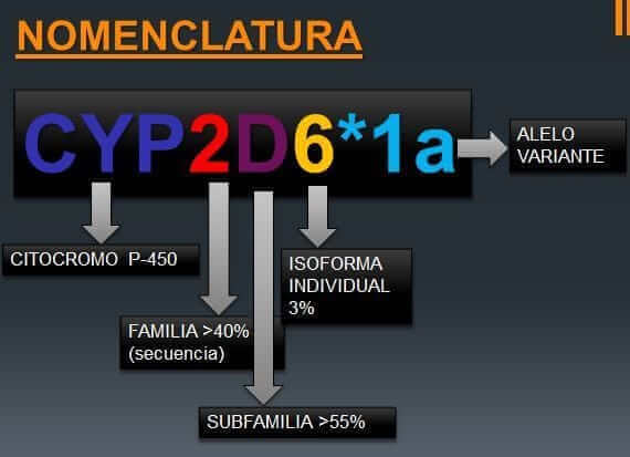 nomeclatura de los citocromos