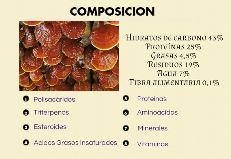 composicion del reishi