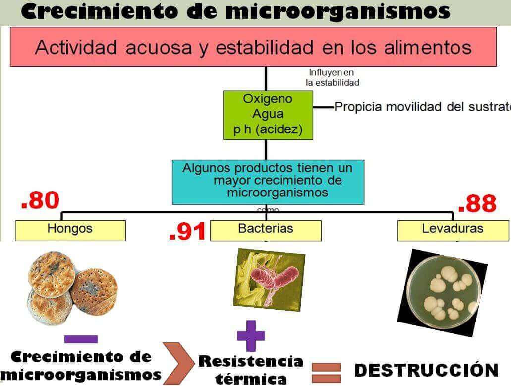 crecimiento de microorganismos