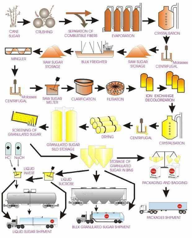 elaboracion del azucar