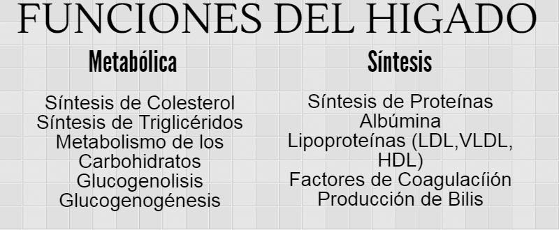 funciones del hígado