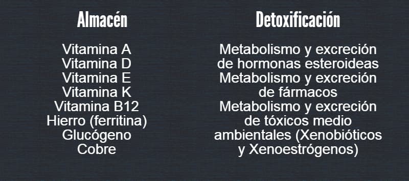 funciones hepaticas