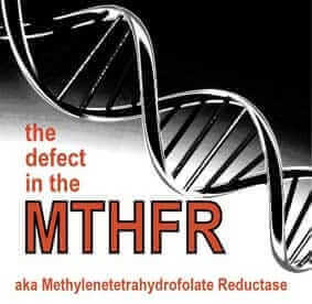 genes y mthfr