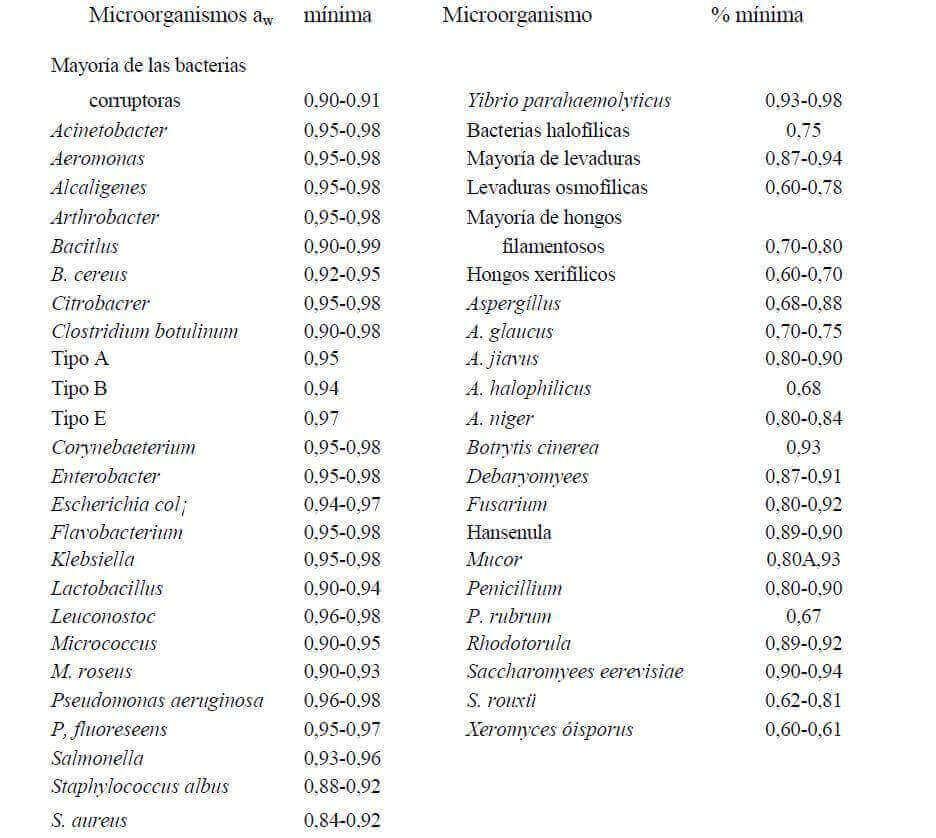 humedad bacterias