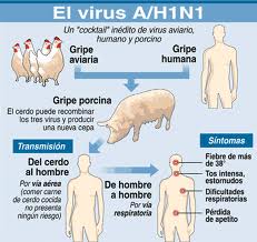 Virus A/H1N1