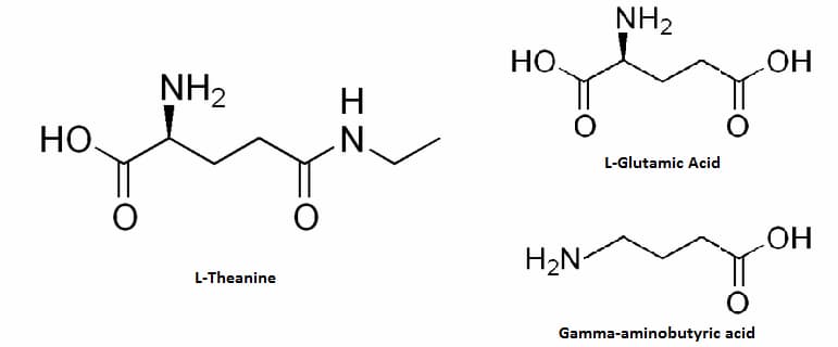 l-teanina