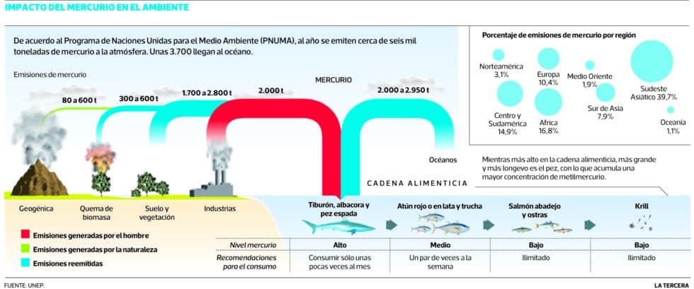 mercurio-en-los-alimentos-