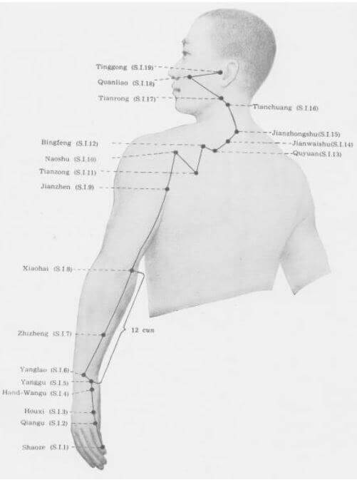 meridiano intestino delgado