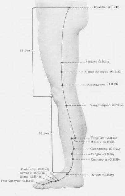 meridiano vesicula pierna