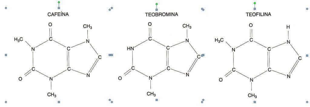 metilxantinas