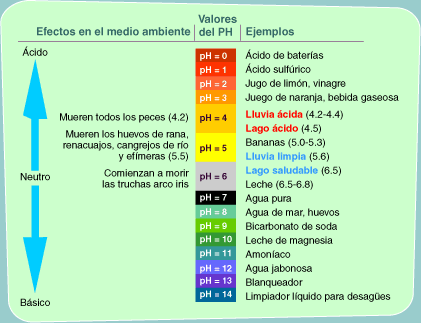 pH-y-contaminación-de-alimentos