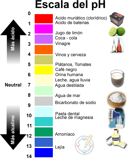 ph-y-alimentos