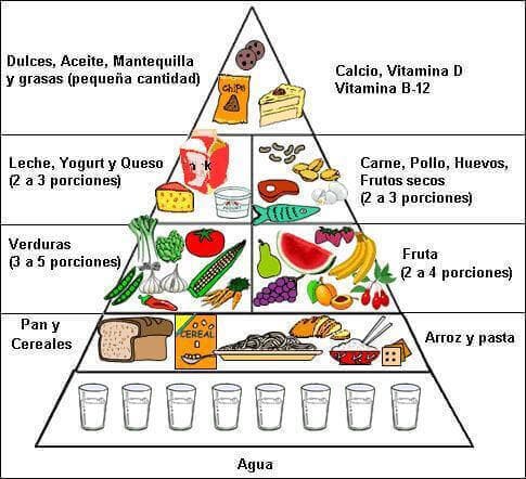 piramide alimentaria