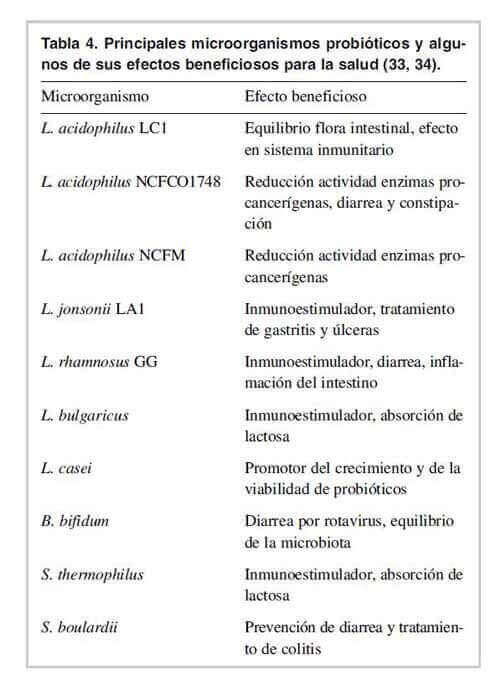 que-son-los-probioticos