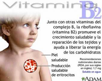 riboflavina vitamina B2