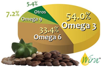 fuentes vegetales de omega 3