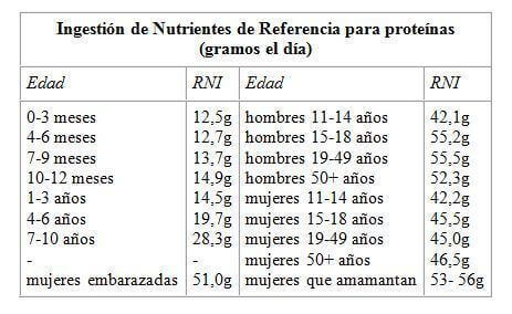 ingesta diaria de proteinas