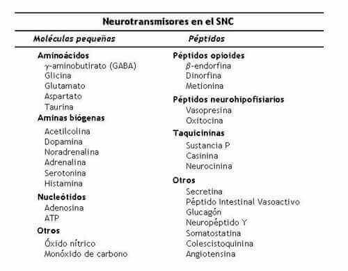 tabla neurotransmisores