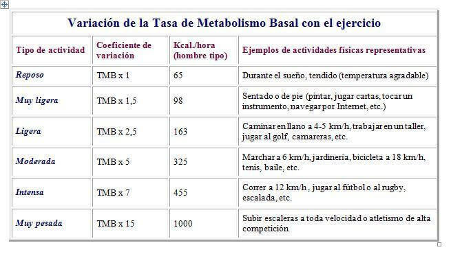 tasa metabolica y ejercicio