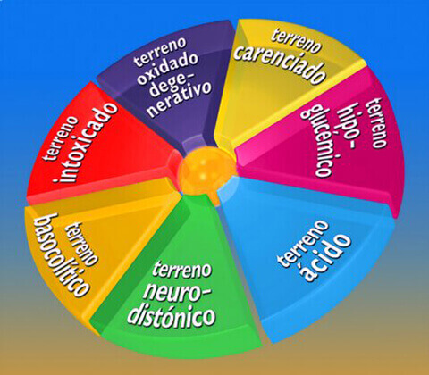 terreno biologico dieta del terreno biologico