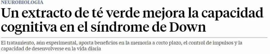 te verde y sindrome de down