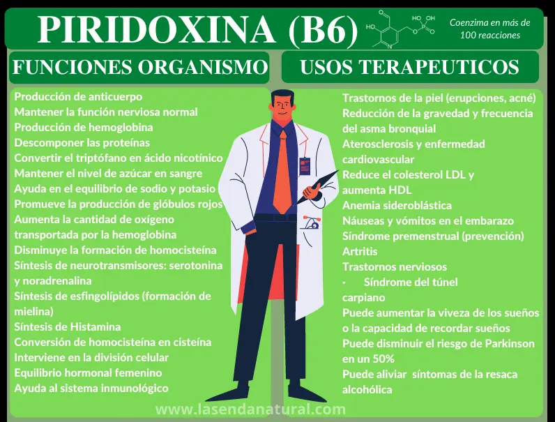 Piridoxina vitamina B6