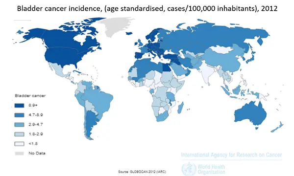 Cáncer de vejiga y trihalometanos a nivel mundial