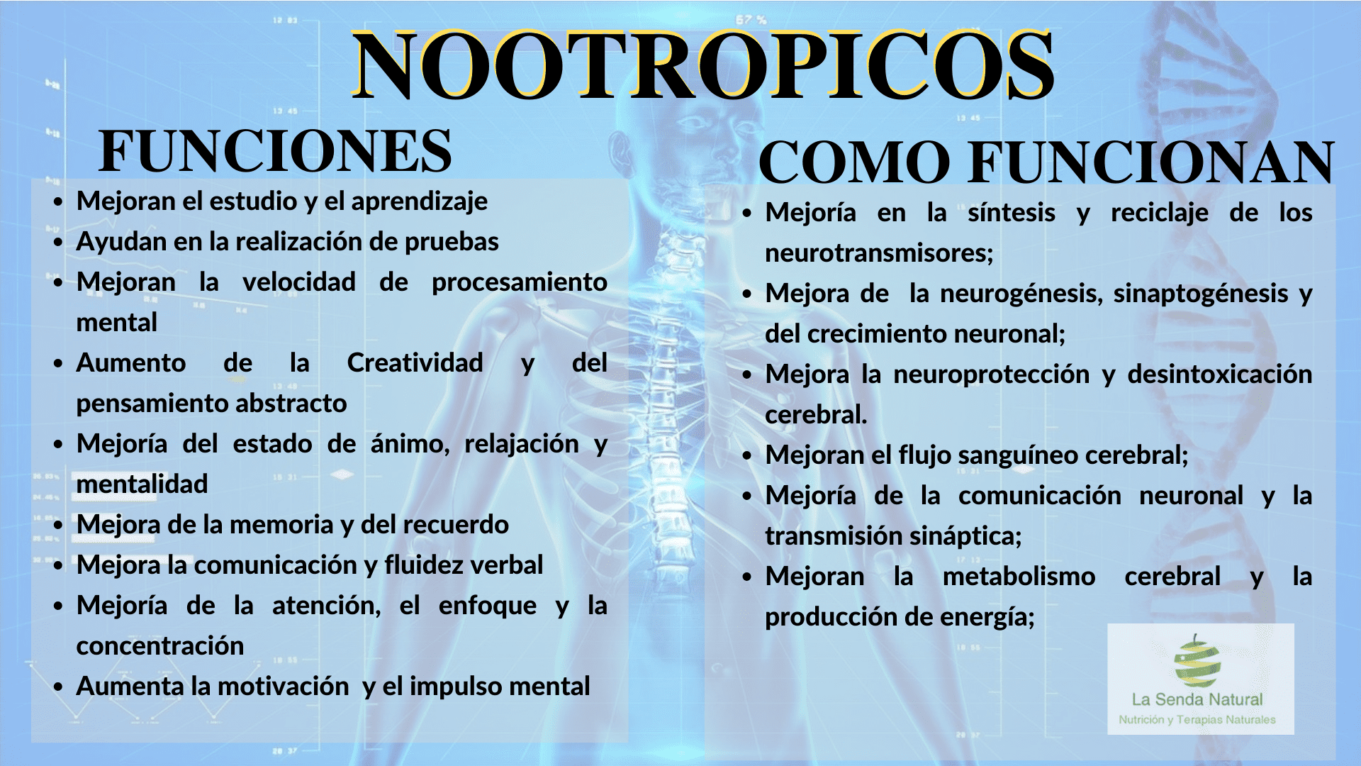 Funciones de los nootrópicos