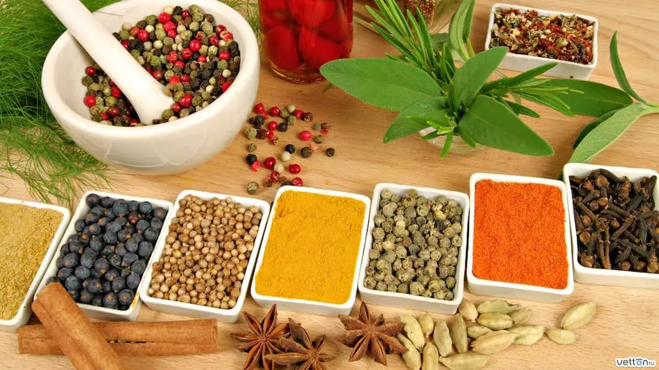 Alimentos y ayurveda