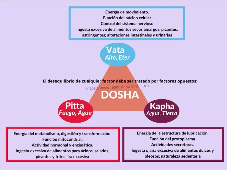 Doshas conceptos básicos