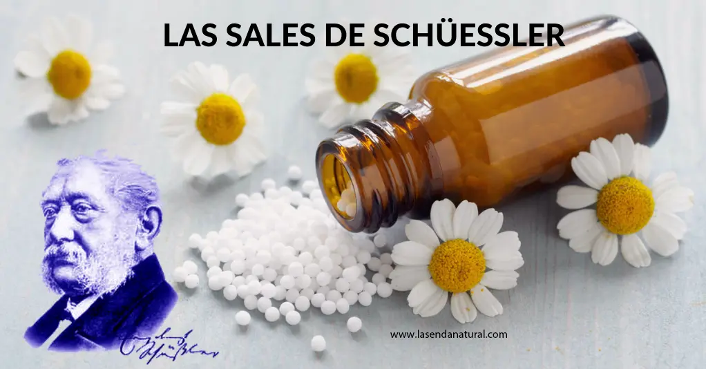 Las sales de schuessler