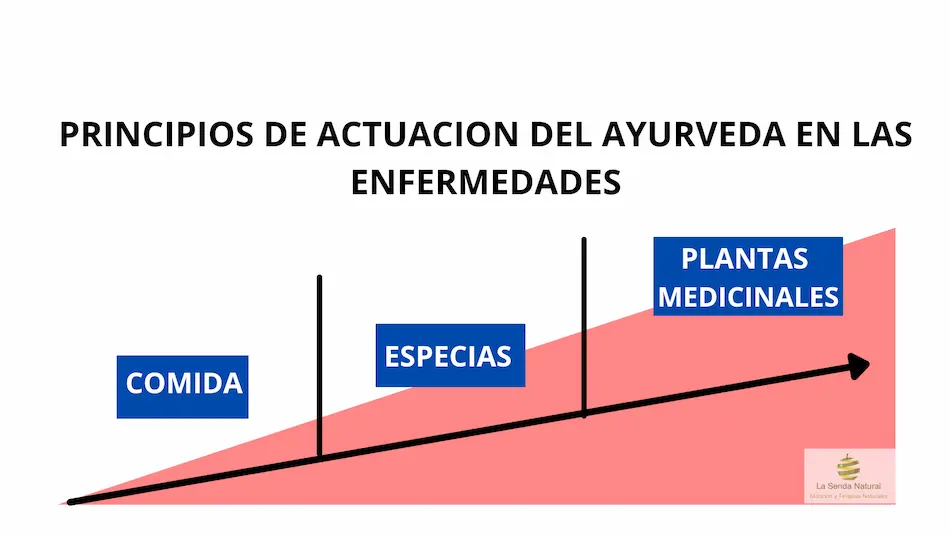 Principios de actuación del Ayurveda