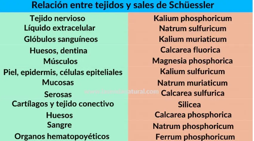 Sales de Schuessler y tejidos