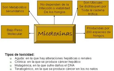 micomapa