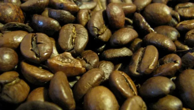 micotoxinas en el café