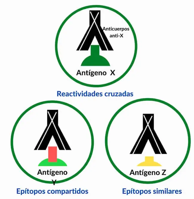 reacciones alérgicas